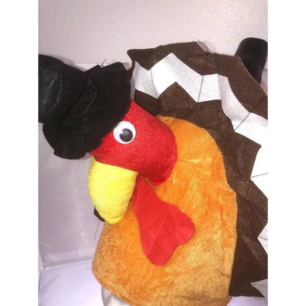 Thanksgiving Plush Turkey Hat Bundle of 2 Festive Novelty Costume Accessory